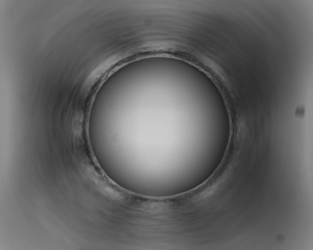 X0000114140778200910151608