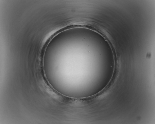 X0000114140779200910151608