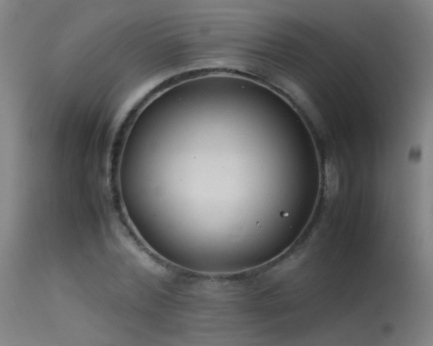 X0000114140780200910151608