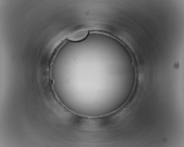 X0000114140781200910151608