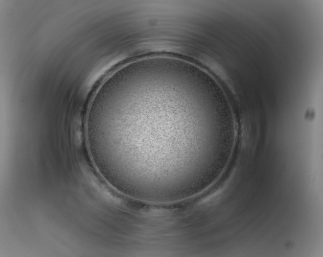 X0000114140782200910151608