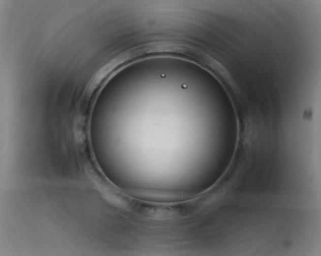 X0000114140786200910151608