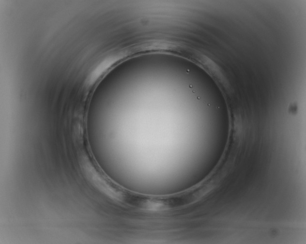 X0000114140794200910151608