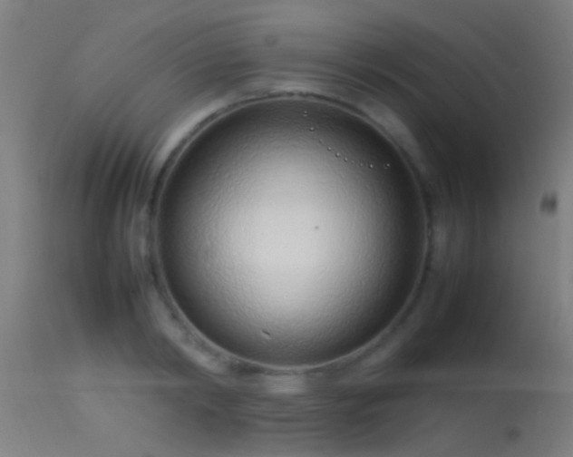 X0000114140798200910151608