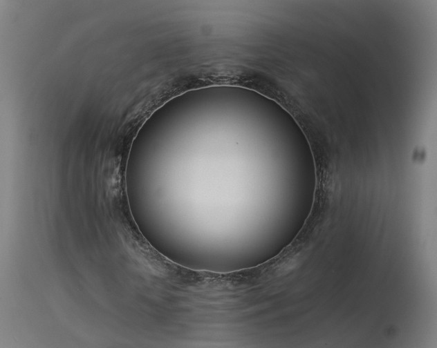 X0000114140818200910151607