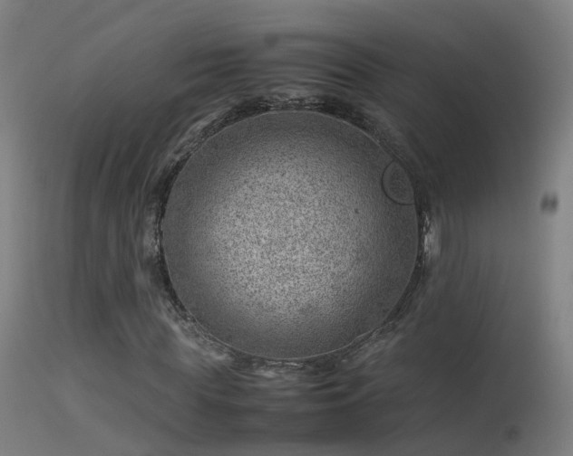 X0000114140819200910151607