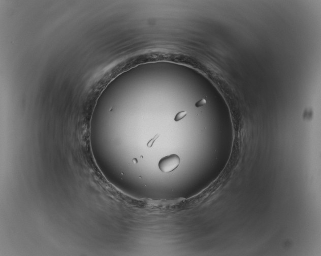 X0000114140822200910151607