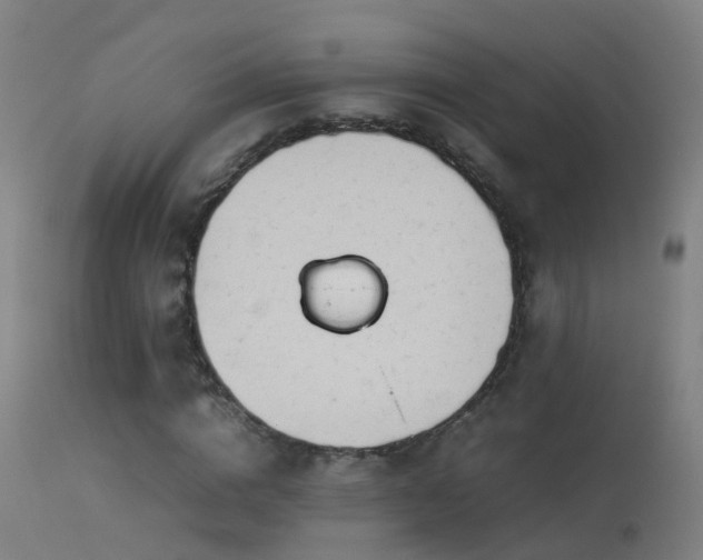 X0000114140824200910151607