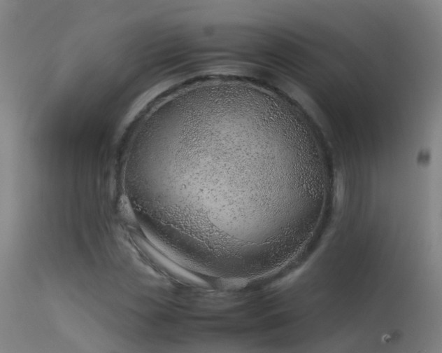 X0000114140829200910151607