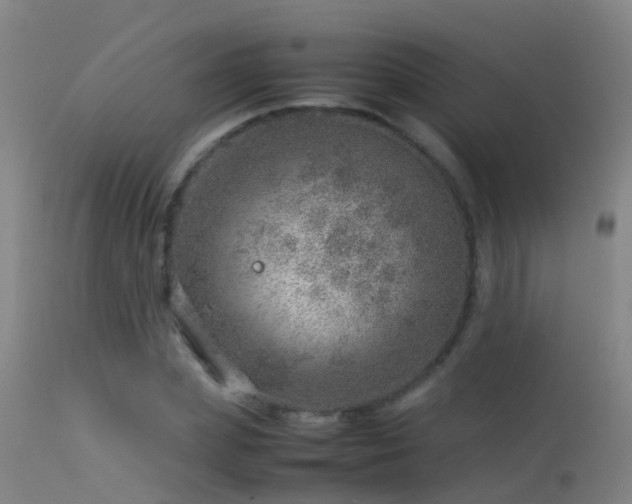 X0000114140831200910151607