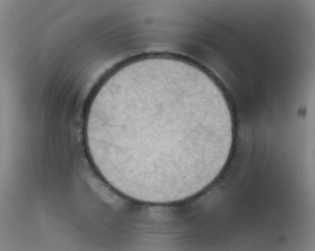 X0000114140832200910151607