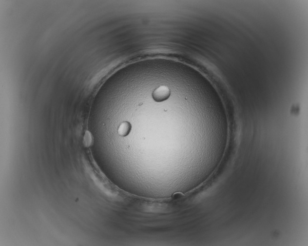 X0000114140833200910151607