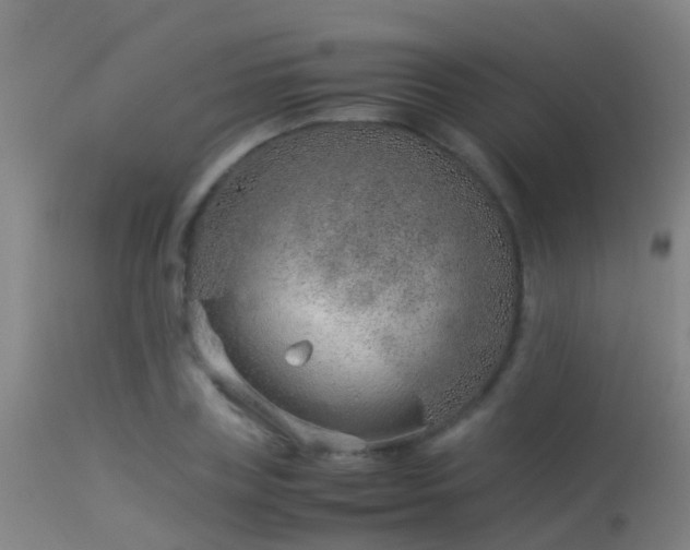 X0000114140835200910151607