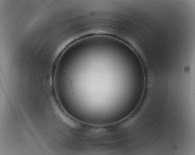 X0000114140837200910151607