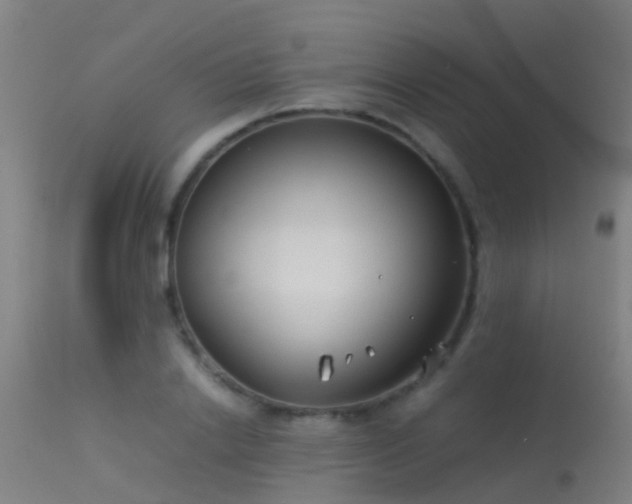 X0000114140838200910151607