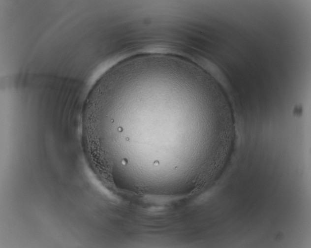 X0000114140839200910151607