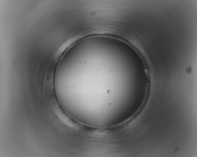 X0000114140842200910151607