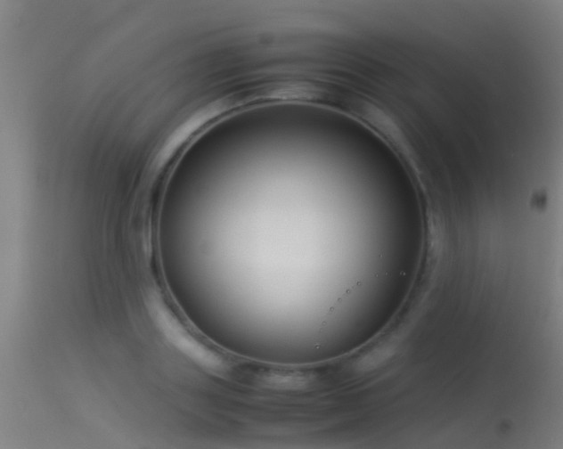 X0000114140843200910151607