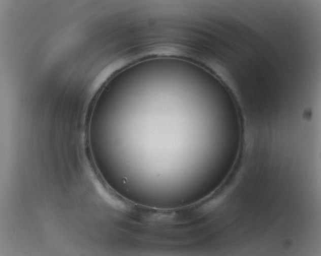 X0000114140845200910151607