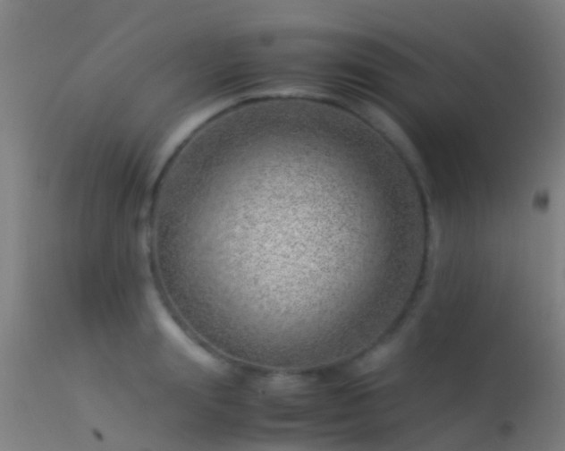 X0000114140847200910151607