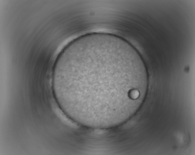 X0000114140848200910151607