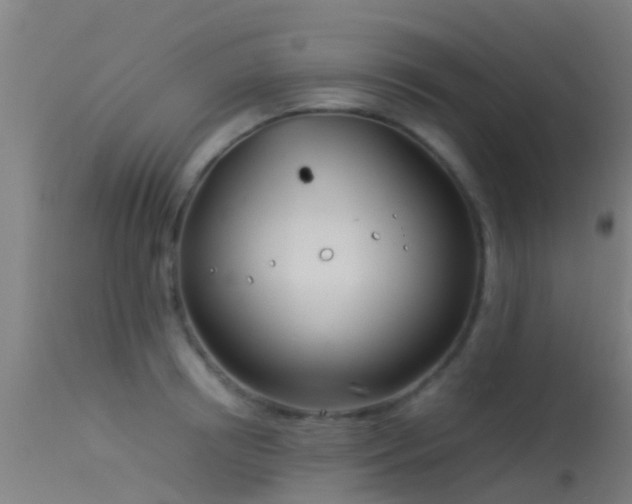 X0000114140850200910151607