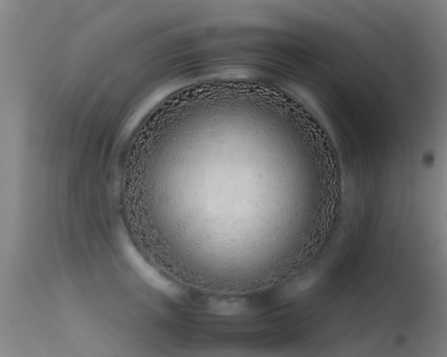 X0000114140851200910151607