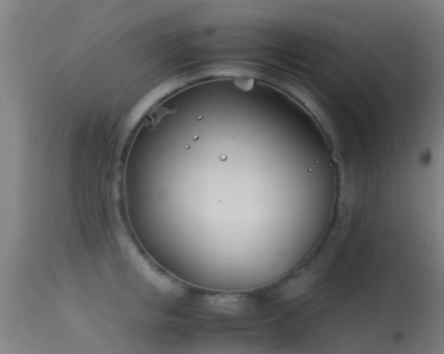 X0000114140853200910151607