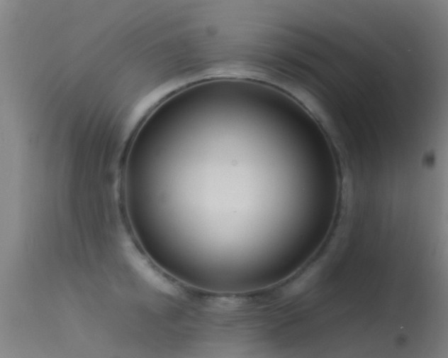 X0000114140854200910151607