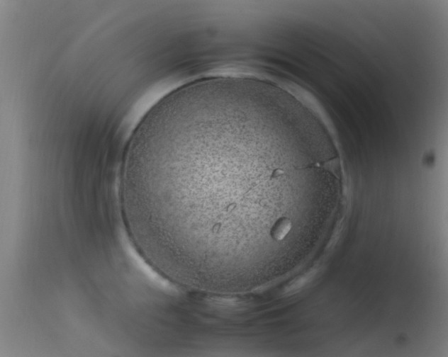 X0000114140855200910151607