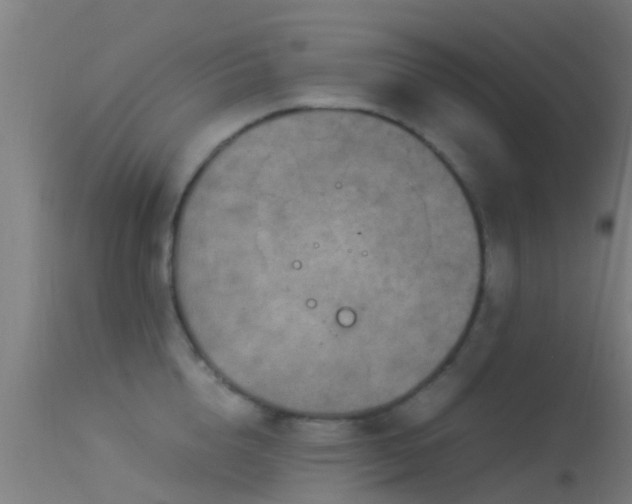 X0000114140856200910151607