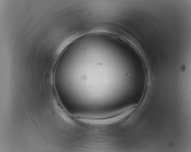 X0000114140858200910151607