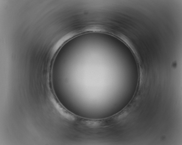 X0000114140861200910151607