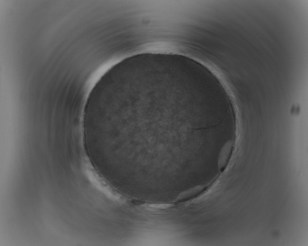 X0000114140864200910151608