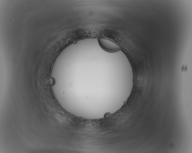 X0000114140865200910151607