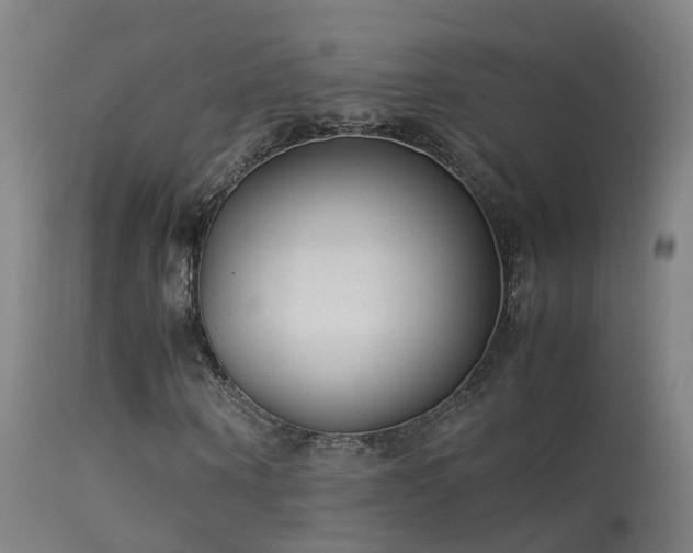 X0000114140866200910151607