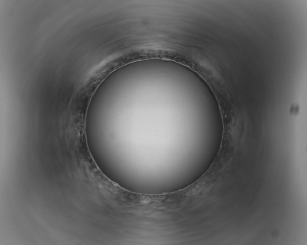 X0000114140870200910151607