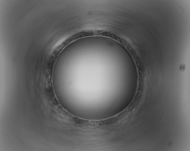 X0000114140871200910151607