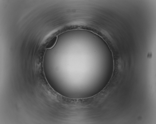 X0000114140872200910151607