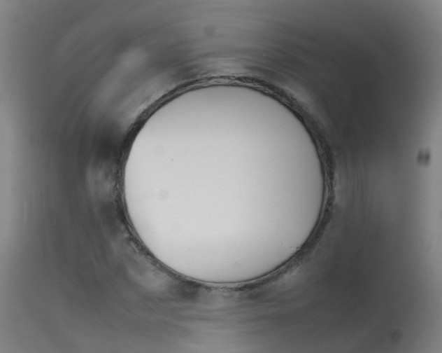 X0000114140873200910151607