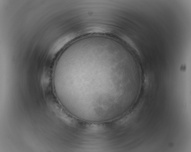 X0000114140874200910151607