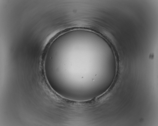 X0000114140875200910151607