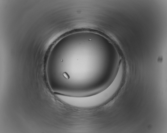 X0000114140877200910151607