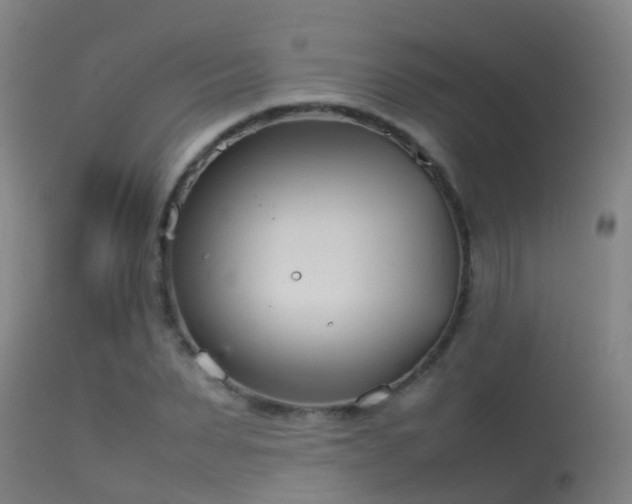 X0000114140879200910151607