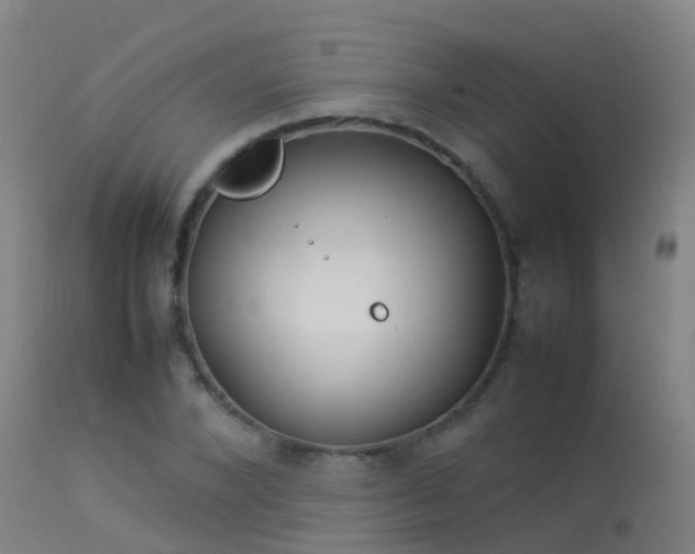 X0000114140880200910151607