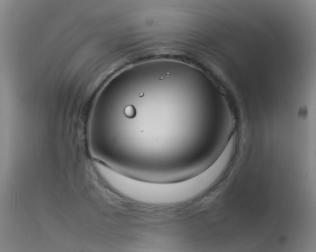 X0000114140881200910151607