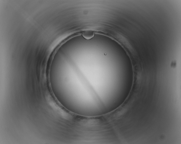 X0000114140884200910151607