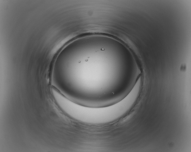 X0000114140885200910151607