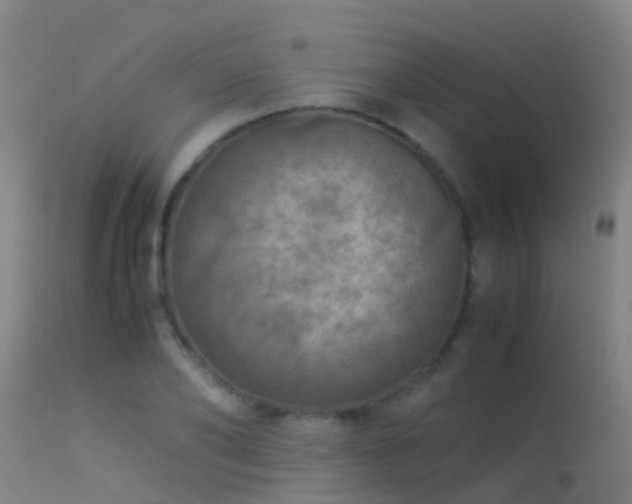 X0000114140886200910151607