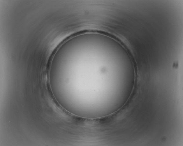 X0000114140887200910151607